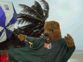 HEFTIG WEER: Top 5 stormachtige tracks