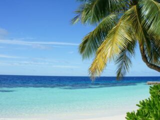 Blije Boef geeft vakanties weg aan fans