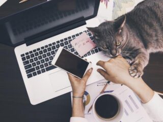 Thuiswerktips: "Laat je videocall de hele dag aanstaan en lunch samen"