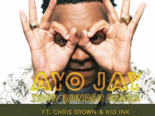 Nandoleaks: Chris Brown en Kid Ink op Your Number remix, lekkers van Mr. Vegas & meer!