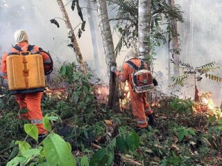 Braziliaanse president stuurt leger naar Amazonegebied