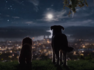 Disney deelt trailer romantische live-action remake 'Lady en de Vagebond'