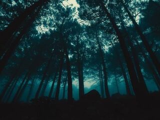 Moordenaar vertelt waar lijk is voor Xbox