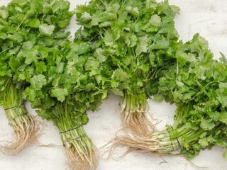 I Hate Coriander Day: 3 herkenbare momenten als je koriander haat