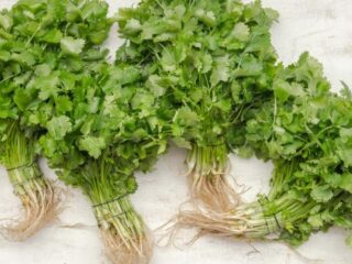 I Hate Coriander Day: 3 herkenbare momenten als je koriander haat