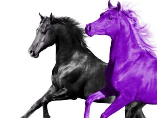 Lil Nas X dropt 'Old Town Road'-remix met RM van Zuid-Koreaanse BTS