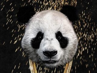 Desiigner de diXte met 'Panda'