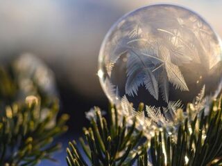 Heb jij dromen die steeds terugkeren? Dit is wat ze betekenen