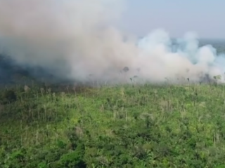 Leonardo DiCaprio trekt 5 miljoen dollar uit voor Amazonegebied