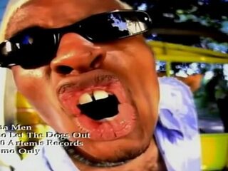 Hier gaat Who Let The Dogs Out van Baha Men over!