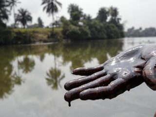 Amnesty International: "Shell betrokken bij moord, verkrachting en marteling in Nigeria"