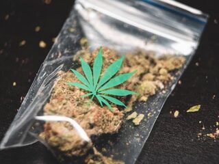 Nederland gaat experimenteren met legale wiet