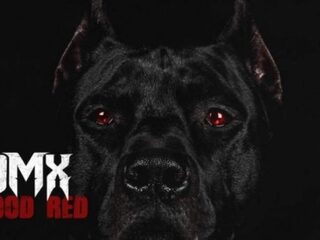 NANDOLEAKS: DMX is terug met rauwe sound in 'Blood Red'