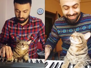 Turkse muzikant vormt muzikaal duo samen met zijn kat