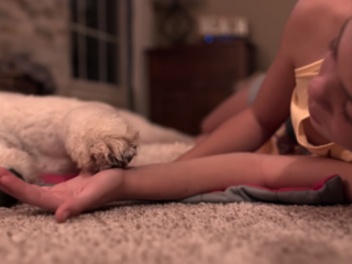 Indrukwekkende dogumentaire 'Dogs' brengt je van Syrië naar Japan en Costa Rica