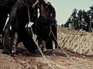 Hoe Tula het boegbeeld werd van de Curaçaose slavenopstand