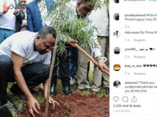Ethiopië breekt record en plant 353 miljoen bomen in één dag