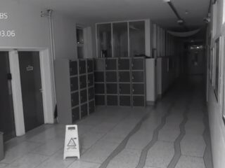 School legt klopgeest vast op doodenge bewakingsbeelden