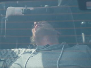 Confronterend experiment: zo voelt een hond zich in een hete auto