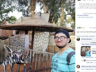 Deze foto van een 'vermomde ezel' uit Egypte gaat viral