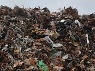 5 tips om voedselverspilling te voorkomen