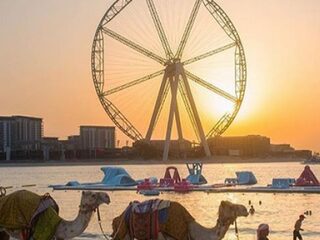 Durf jij in de hoogste reuzenraden ter wereld?