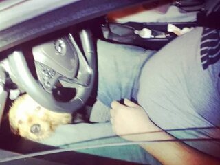 Dronken man racet politie voorbij met baby in auto en hond tussen benen