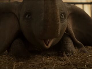 'Ahw'-momentje van de dag: Disney deelt nieuwe 'Dumbo'-trailer