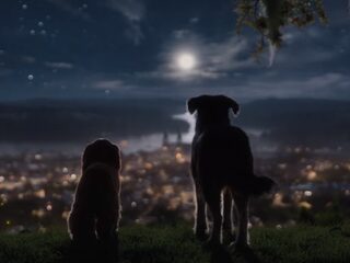 Disney deelt trailer romantische live-action remake 'Lady en de Vagebond'