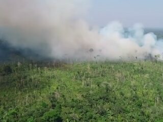 Leonardo DiCaprio trekt 5 miljoen dollar uit voor Amazonegebied