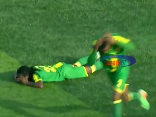 Voetballers in Tanzania vluchten voor levensgevaarlijke bijenaanval