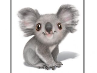 Balenciaga steunt Australië door verkoop shirt en hoodies