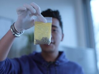 Steeds jongere scholieren dealen drugs op school: "Er gaan etuitjes met drugs rond in klas"