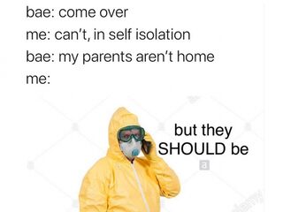 8 grappige Instagramaccounts om te volgen tegen de verveling