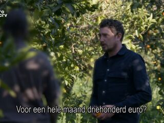 'Keuringsdienst van Waarde' legt uitbuiting in tomaten- en sinaasappelteelt bloot