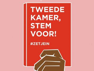 Meiden achter petitie racisme als verplicht schoolvak vragen hulp bij volgende stap