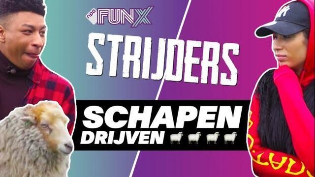 Welke FunX Strijders connecten het beste met schapen?