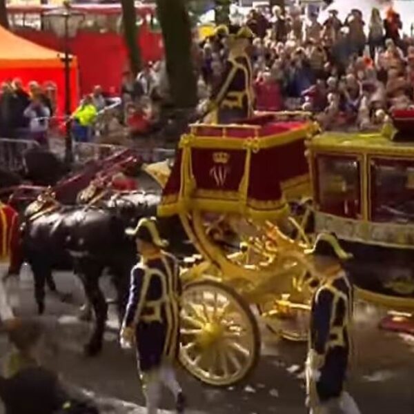 Morgen Prinsjesdag: Taalonderzoekers doen oproep voor versimpelde troondrede