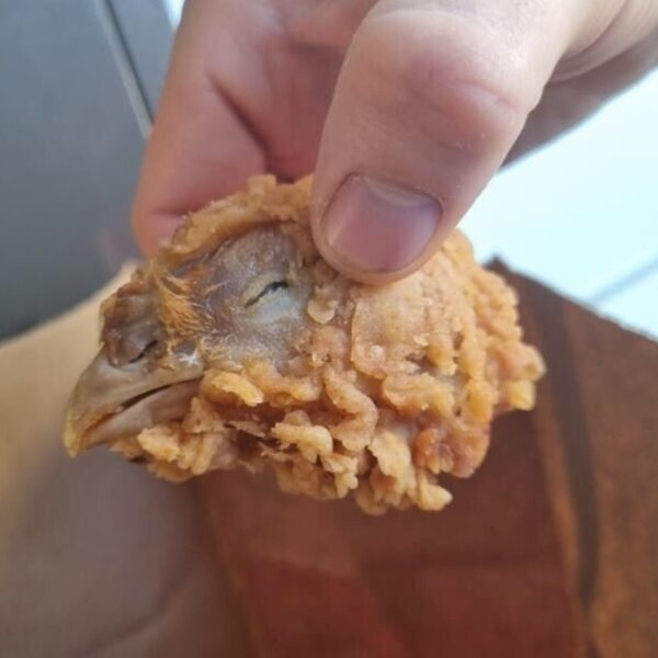 Vrouw vindt hele kippenkop in haar KFC-bucket