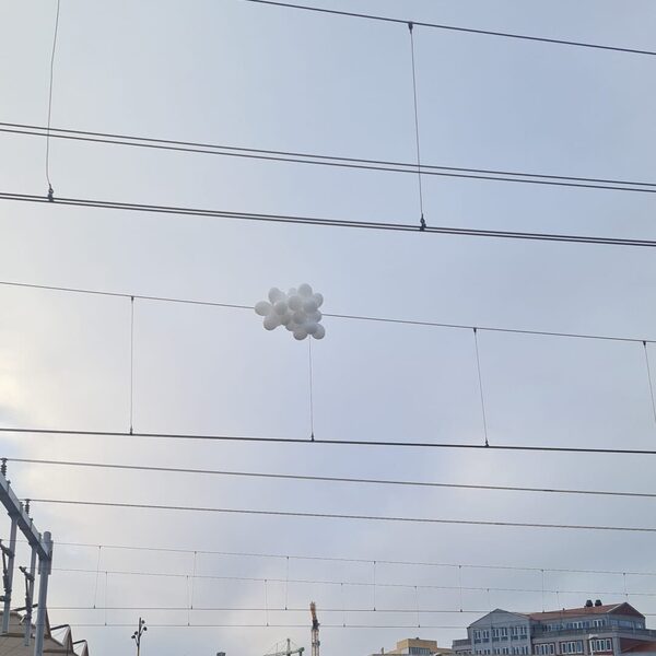 'Valentijnsballonnen' zorgen voor treinstoring bij Utrecht