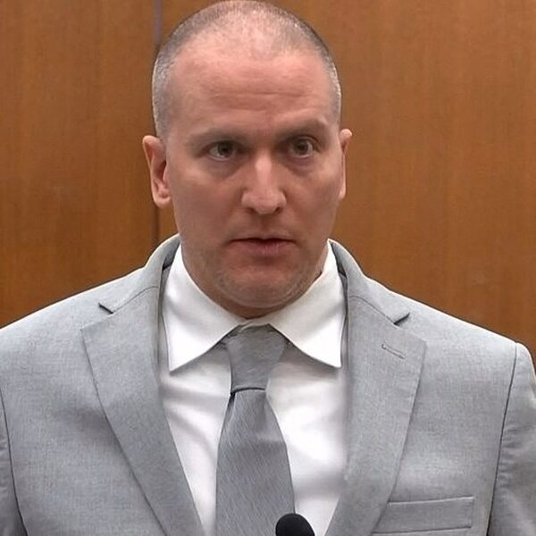 Oud-agent die George Floyd doodde aangeklaagd door twee burgers wegens racisme