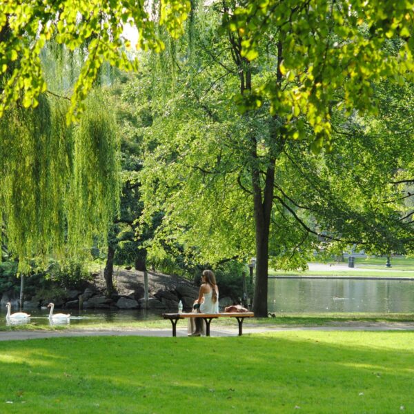 Hoorn in shock: Verkrachting van vrouw gefilmd op klaarlichte dag
