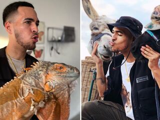 Wildebras heeft 21 dieren en wil eigen dierenpark: "Mijn park gaat kapotmaken"