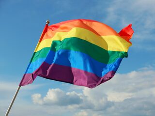 Tweede Kamer wil 'homogenezing' zo snel mogelijk verbieden