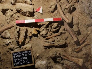 Resten van neanderthalers gevonden in Italiaanse grot