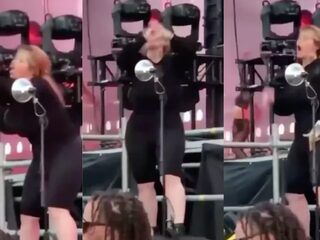 Gebarentolk gaat viral met nauwkeurige vertaling van 'WAP' bij Megan Thee Stallion