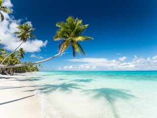 Reisadvies verre landen binnenkort waarschijnlijk soepeler