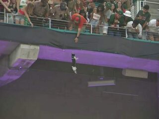 Kat bungelt aan metershoge reling van stadion tijdens American Football-wedstrijd