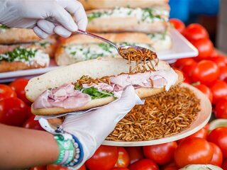 Meelwormen als eerste insect goedgekeurd door Europese voedselautoriteit