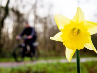 Deze maand was de warmste februari ooit gemeten